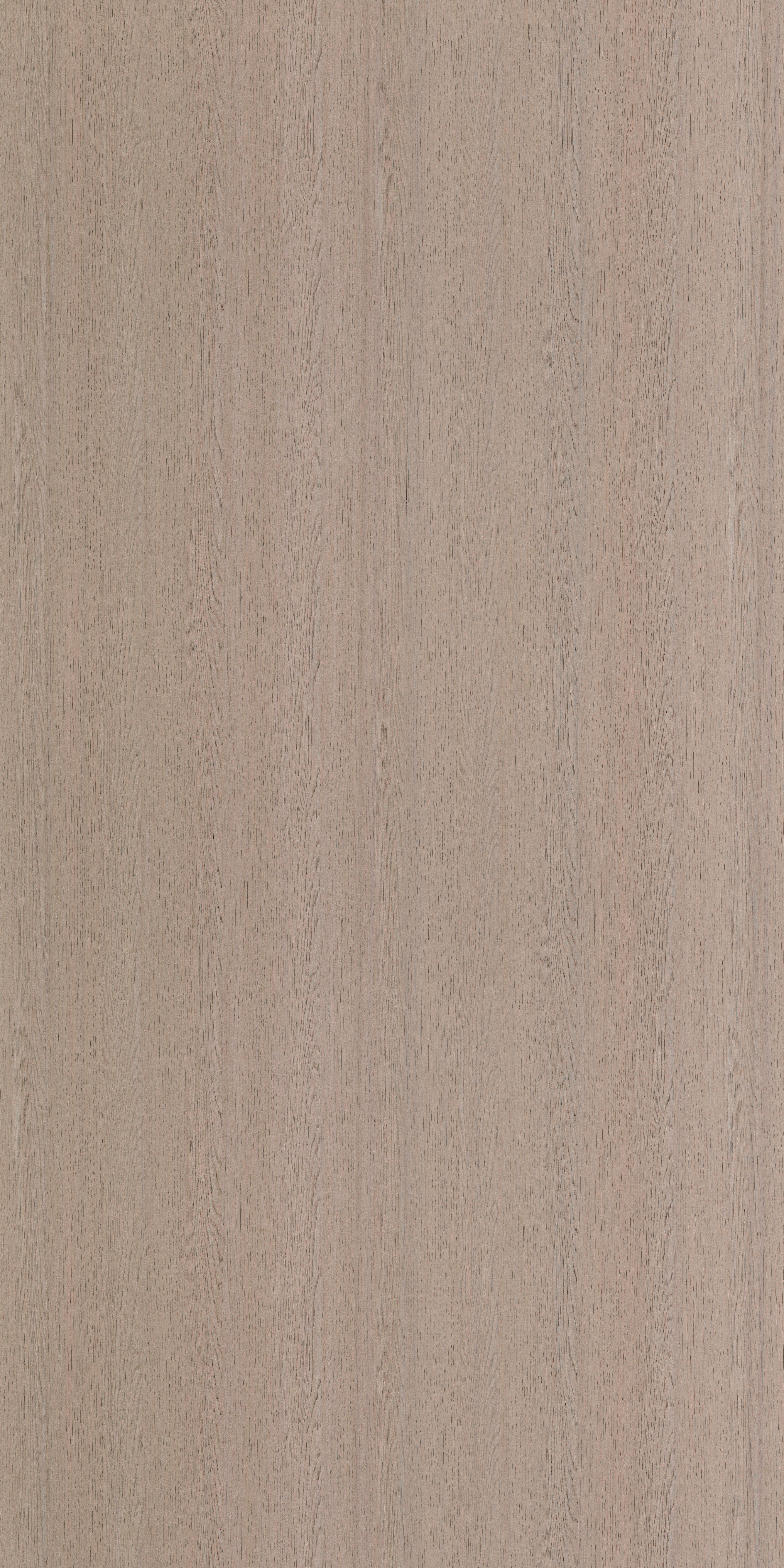 7206 GREY DYED OAK  